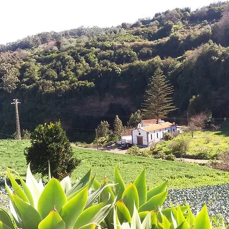 Barrancolaurel * Moya (Gran Canaria)