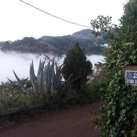 Barrancolaurel * Moya (Gran Canaria)