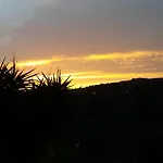 Barrancolaurel Moya (Gran Canaria)