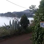 Barrancolaurel * Moya (Gran Canaria)