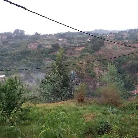 Barrancolaurel * Moya (Gran Canaria)