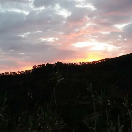 Barrancolaurel