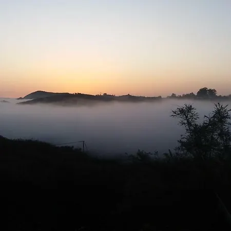 Barrancolaurel * Moya (Gran Canaria)