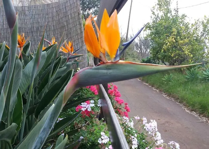 Hébergement de vacances Barrancolaurel Moya (Gran Canaria)