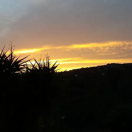 Barrancolaurel Moya (Gran Canaria)