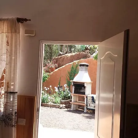 Barrancolaurel Moya (Gran Canaria)