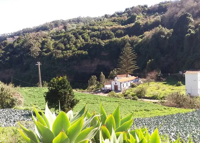 Barrancolaurel * Moya (Gran Canaria)