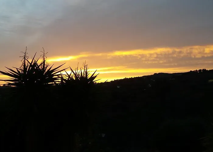 Barrancolaurel Moya (Gran Canaria)
