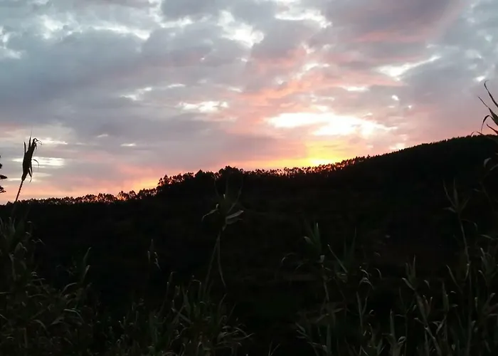 Barrancolaurel