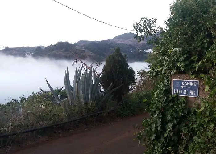 Barrancolaurel * Moya (Gran Canaria)