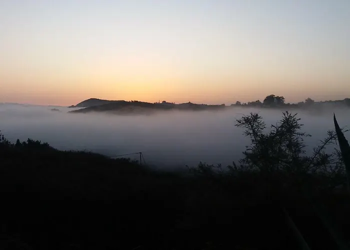 Barrancolaurel * Moya (Gran Canaria)