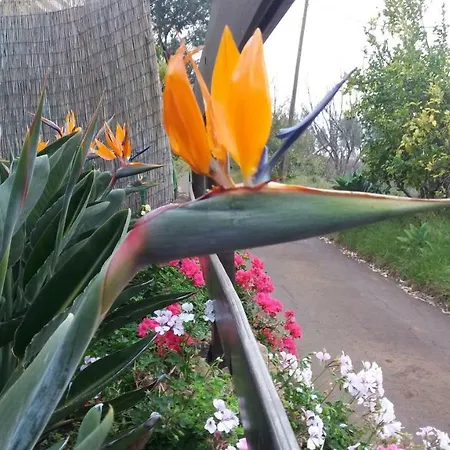 Prázdninový dům Barrancolaurel Moya (Gran Canaria)